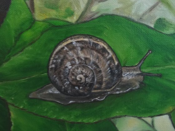 Reckless snail