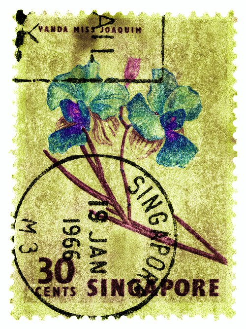 Singapore Stamp Collection '30 Cents Singapore Orchid Yellow' by Richard Heeps