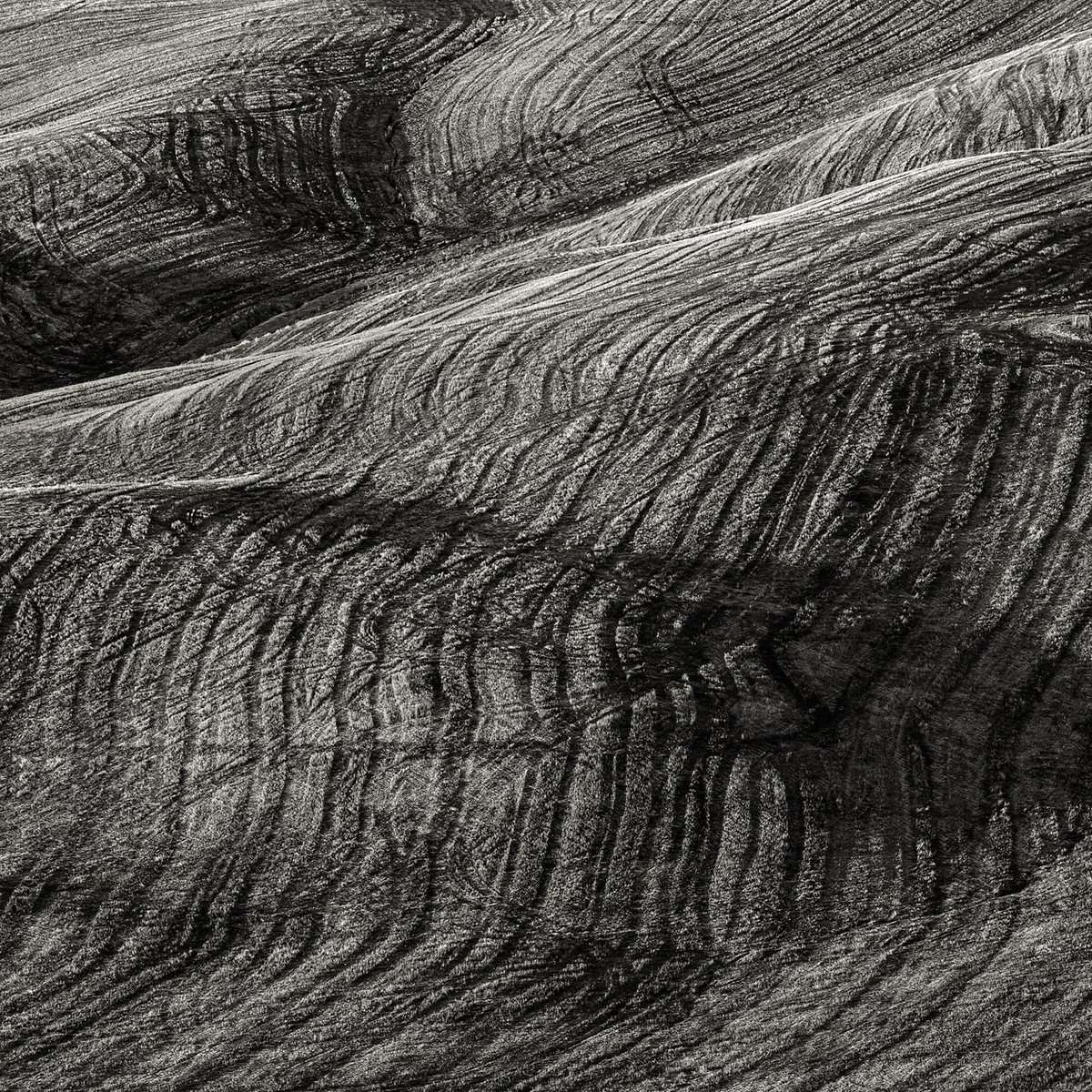 Organic Landscape Photograph By Peter Zelei, 31 X 31", Telluric Waves I., Original Artwork