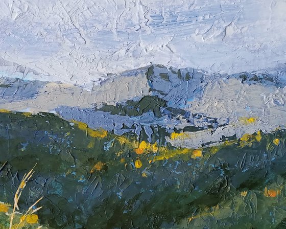 Clouds Over Gold of Grass