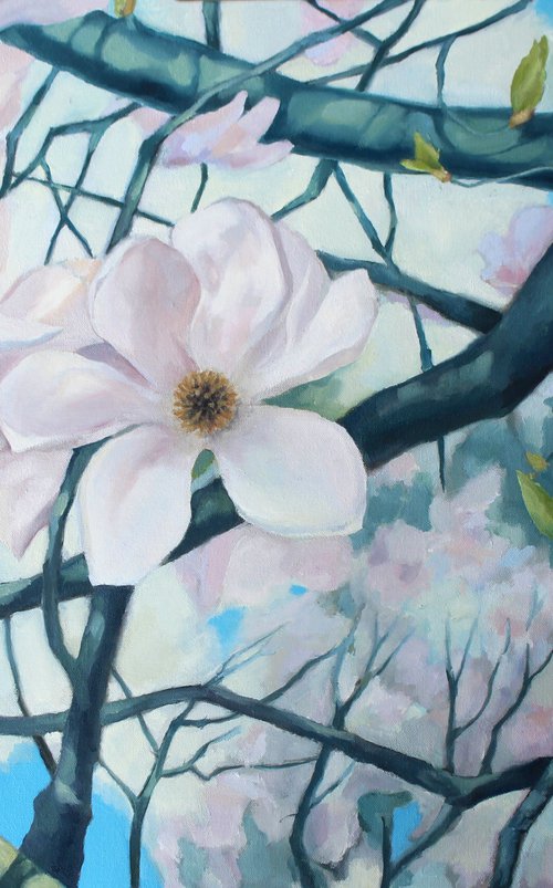 Magnolia Flower by Tatiana Alekseeva