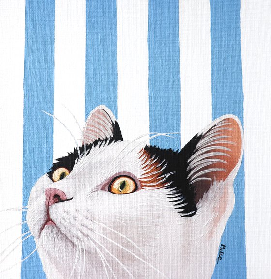 CAT SEE YOU 13