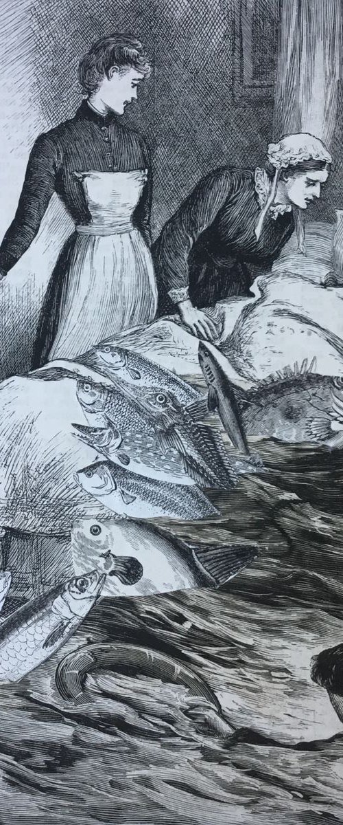 Fish Dreams by Tudor Evans