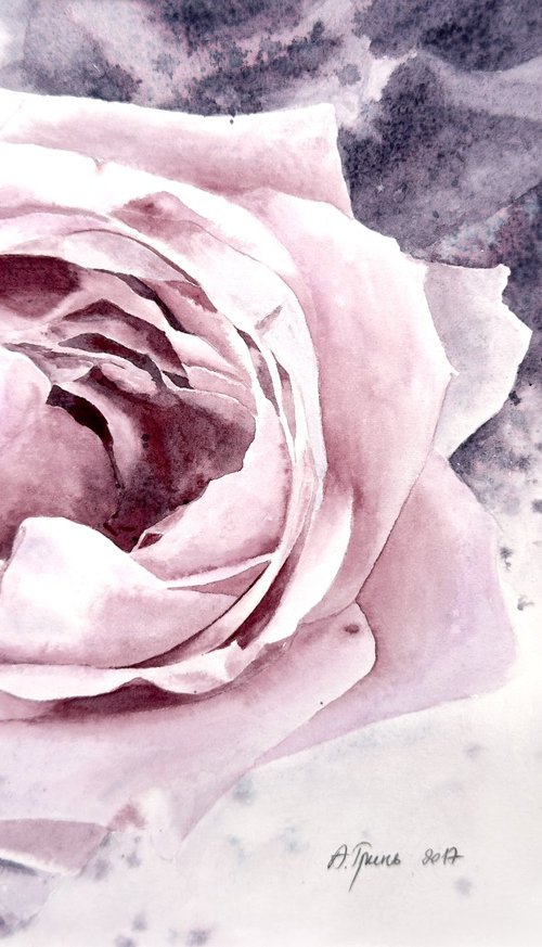 Terrific Fragrance Of The Rose by Alona Hryn