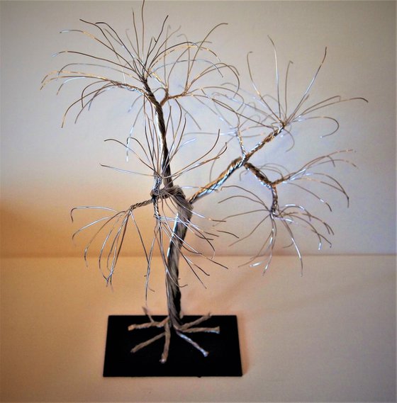 Silver wire willow tree