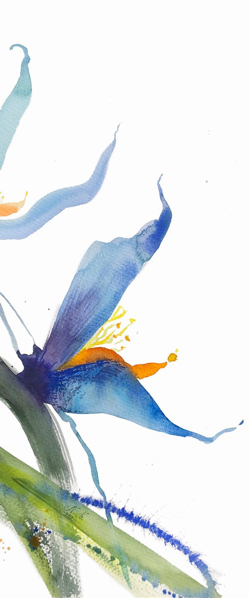 Whisper. Floral shades. A series of abstract original watercolours. by Nataliia Kupchyk