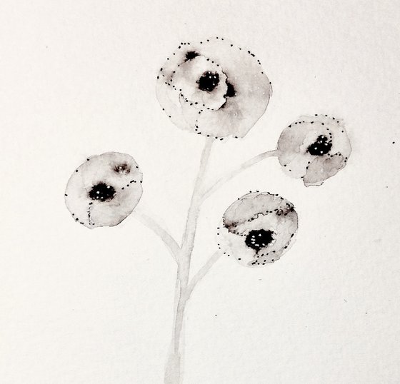 Moon poppies