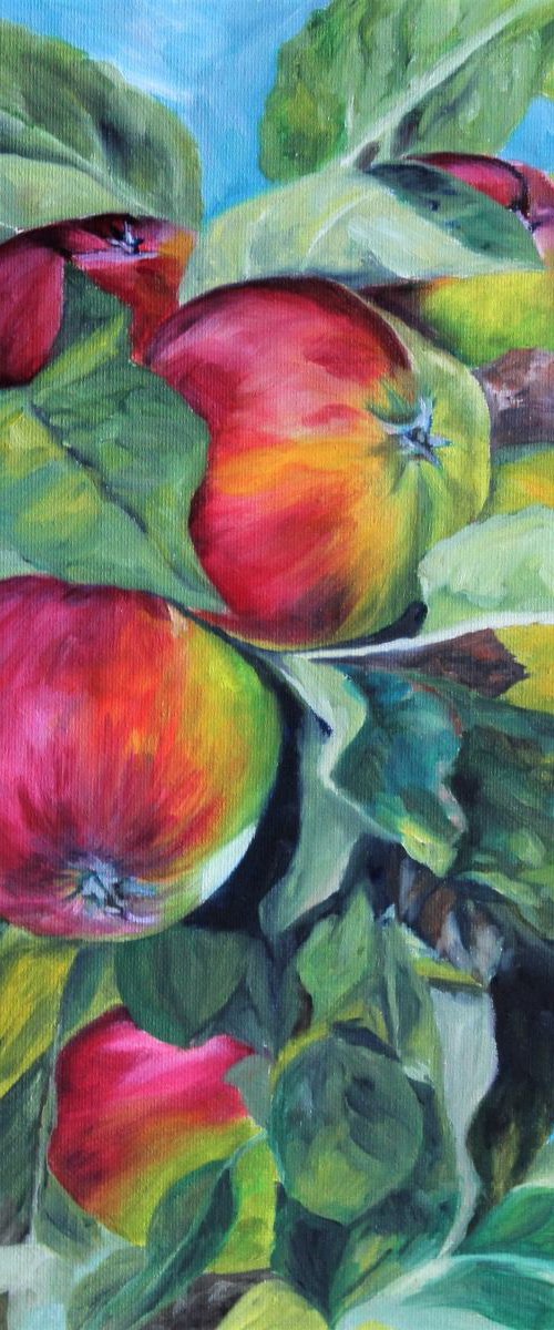 My sister's apple orchard #2 by Afekwo