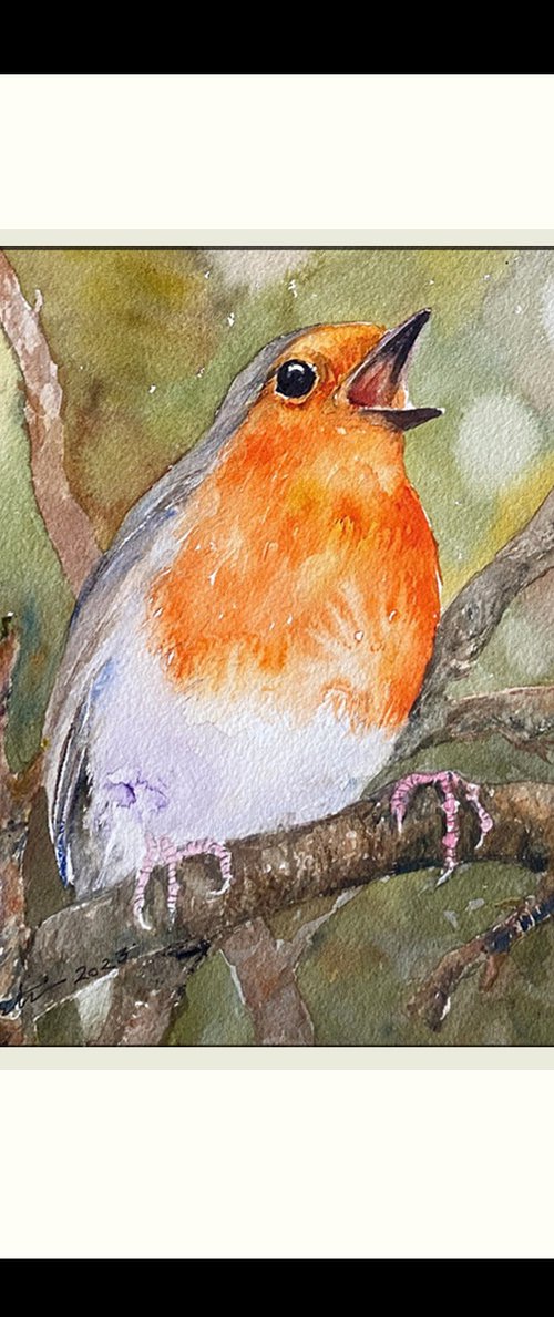 Robin Song by Arti Chauhan