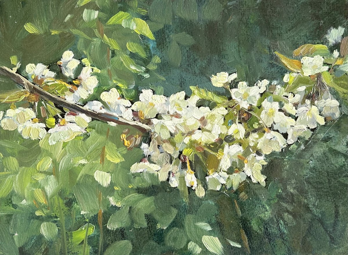 Impressionistic Botanical Oil Painting By Olha Retunska, 15 X 11", Cherry Branch, Original Artwork