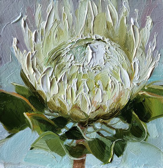 Small painting 4x4 framed white protea flower art original, Unique protea wall art, Floral art oil painting gift for girlfriend