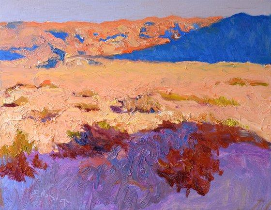Evening Shades of the Desert