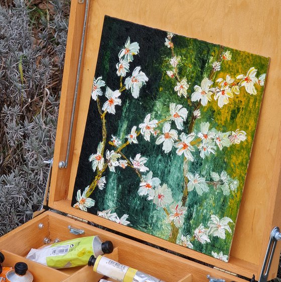 Cherries in bloom