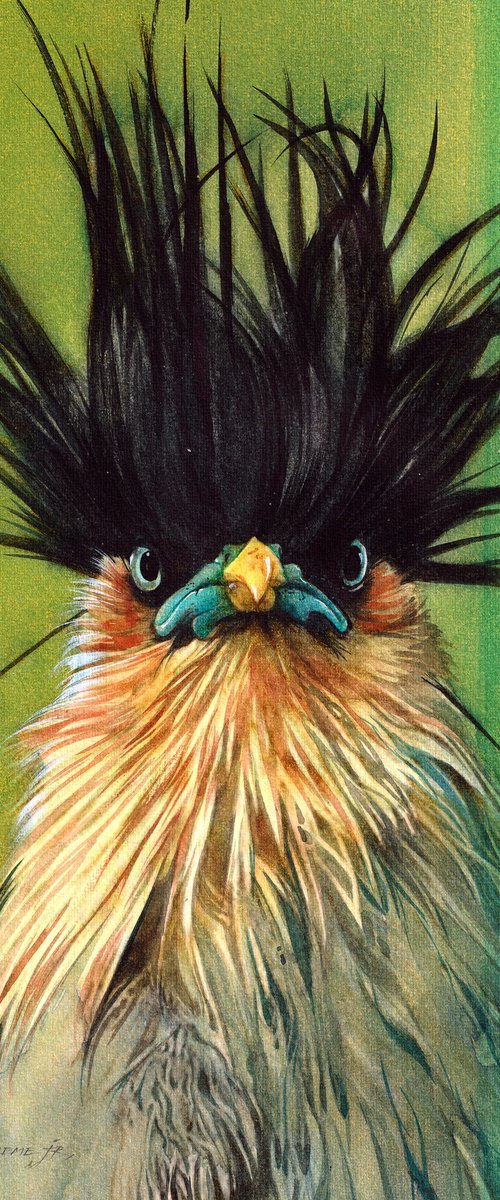 BIRD CCXXXVII - Brahminy Starling by REME Jr.