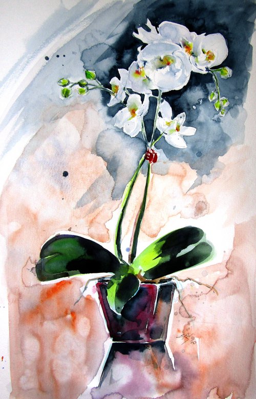 Orchidea still life by Kovács Anna Brigitta