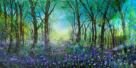 Haigh Bluebells