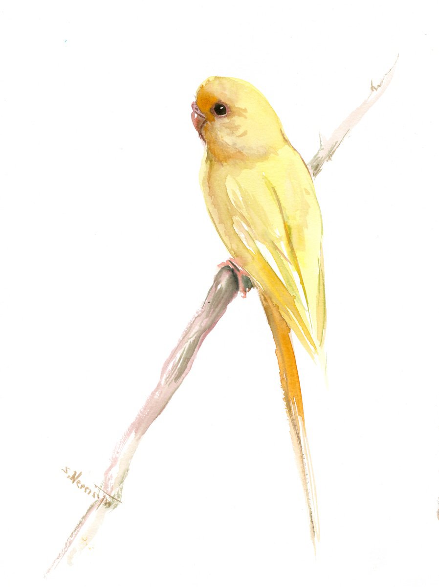 Budgie, Yellow Parakeet painting by Suren Nersisyan