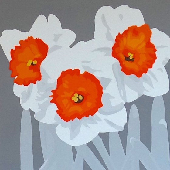 Orange & White Daffodils