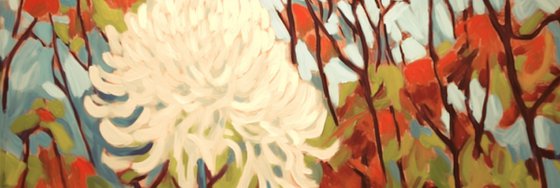 Aster Bloom Symphony #2