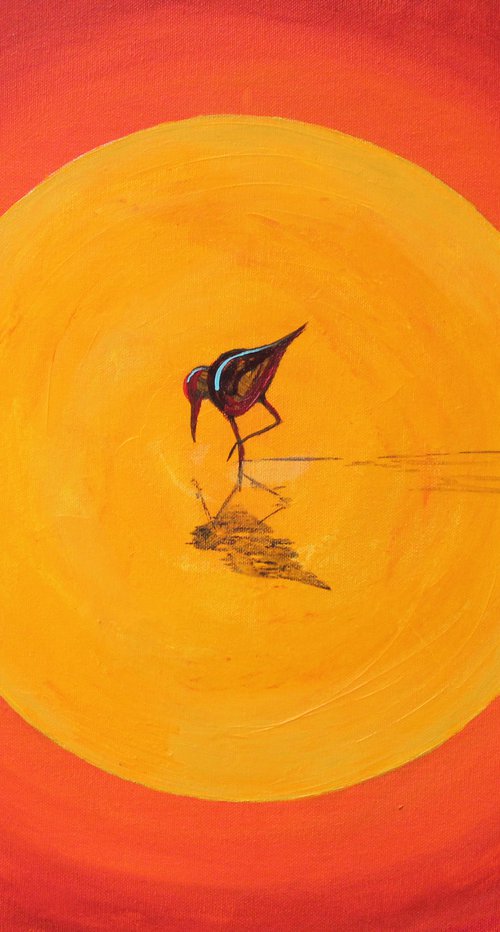 In the spotlight by mark skirving