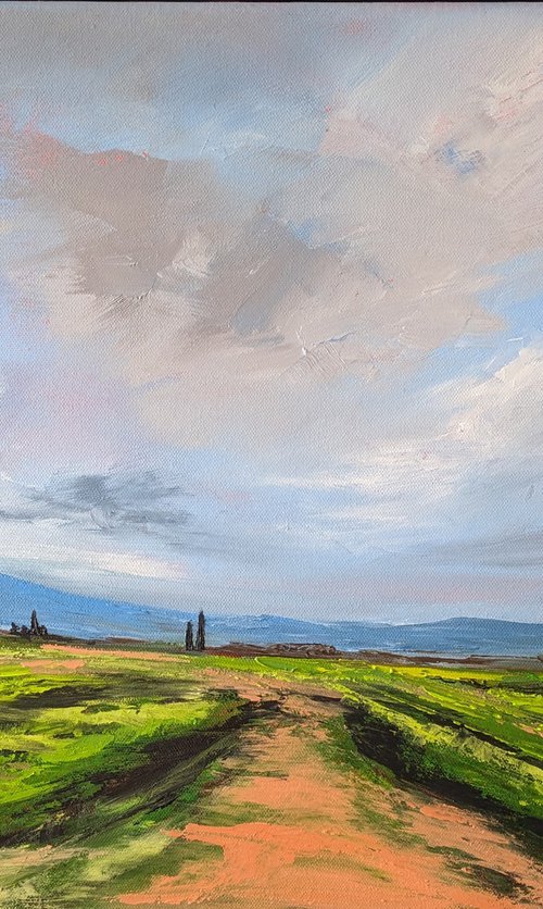 Lombardy vineyard by Steve Keenan