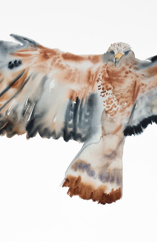 Flying Hawk No. 2 by Elizabeth Becker