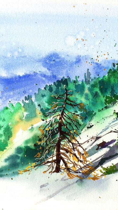 The View from Moro Rock by Ksenia Astakhova