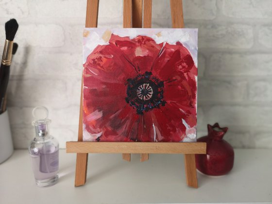 A beautiful poppy