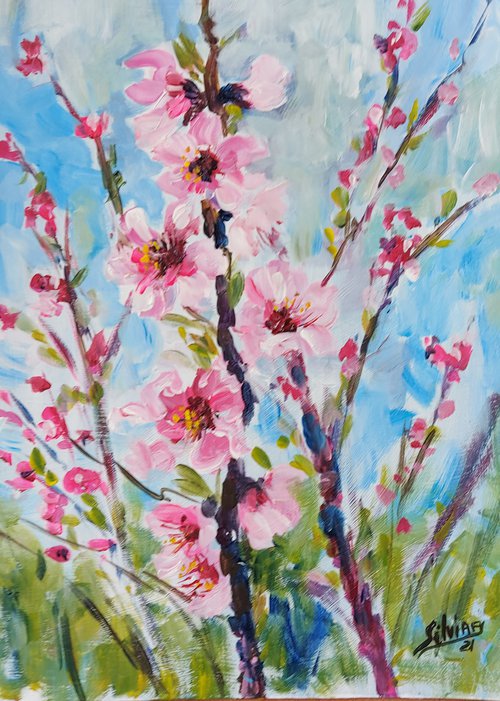 Blossom in Cieza by Silvia Flores Vitiello