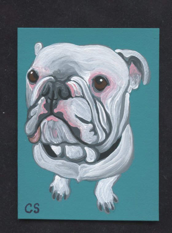 ACEO ATC Original Miniature Painting Olde English Bulldogge  Pet Dog Art-Carla Smale