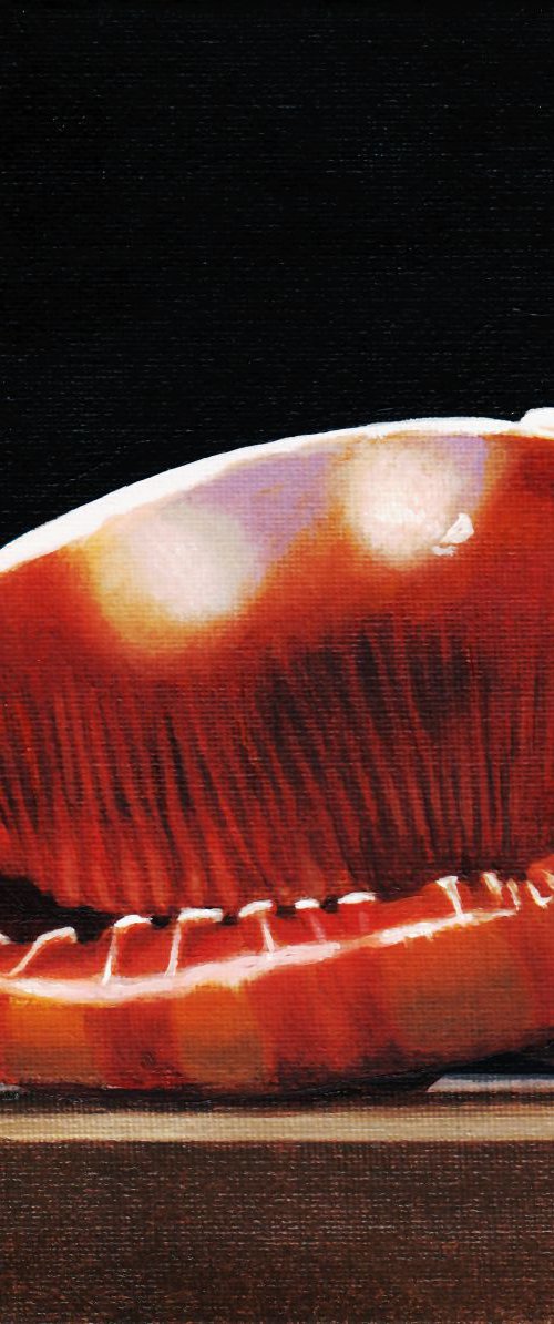 Sea Shell by Dietrich Moravec