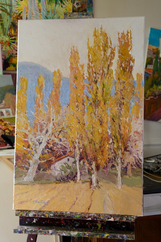 Poplars, Fall