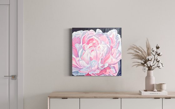 Pink peony