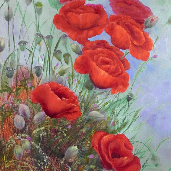 Poppies with wild flowers.
