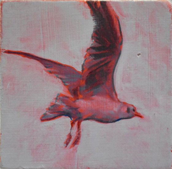 Seagull (red)