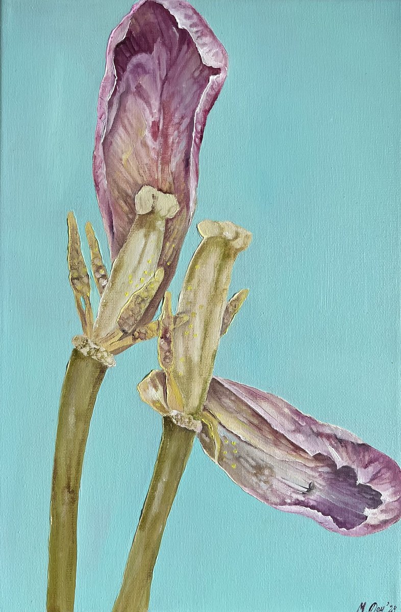 Photorealistic Botanical Oil Painting By Myroslava Denysyuk, 8 X 12", Tiffany