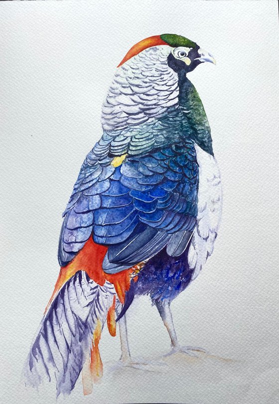 Set of three pheasant