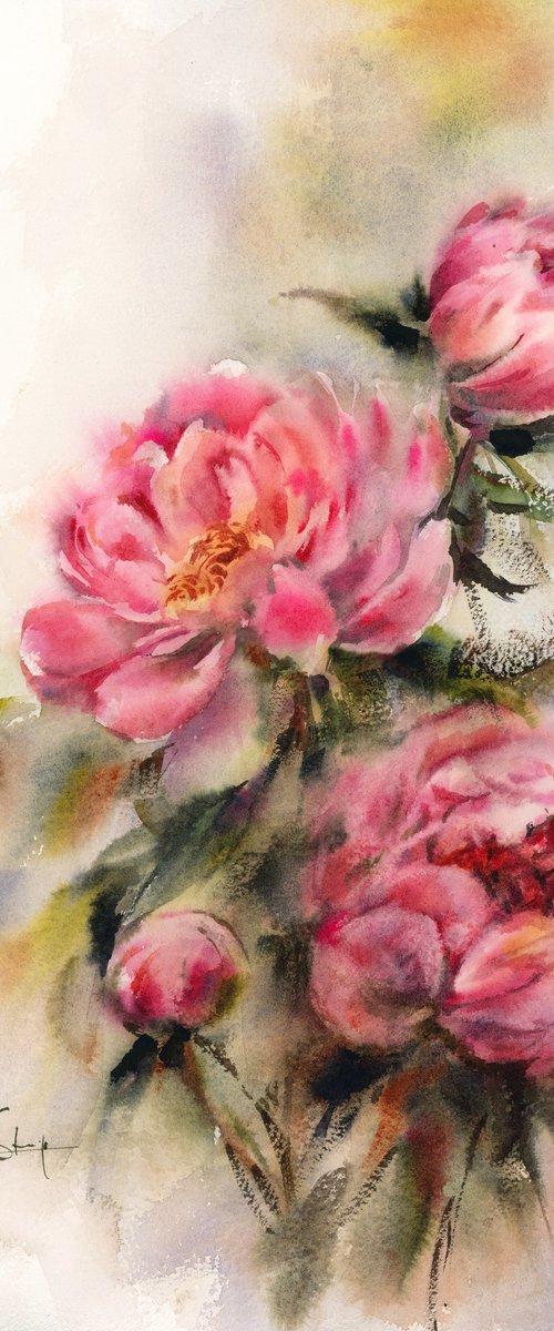 Pink Peonies by Sophie Rodionov