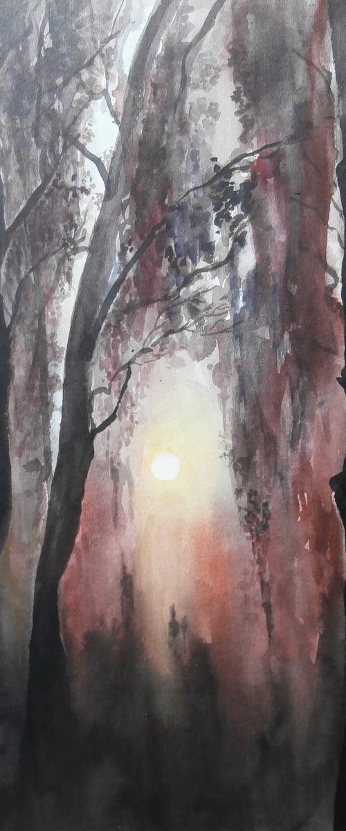 SUNRIZE by Zoran Mihajlović Muza