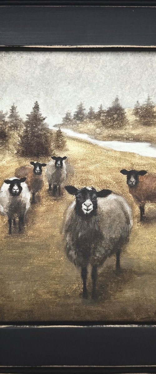Curious sheep by Alina Marsovna