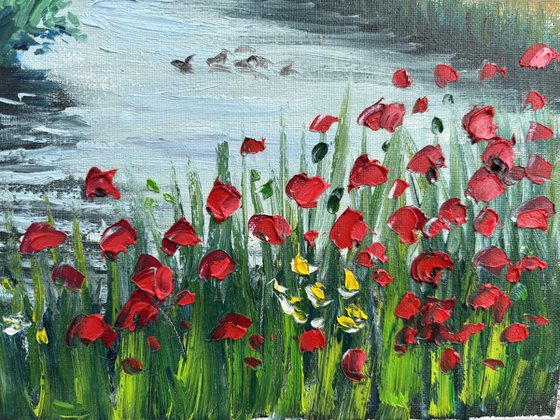 Red poppies by the water. Pleinair painting