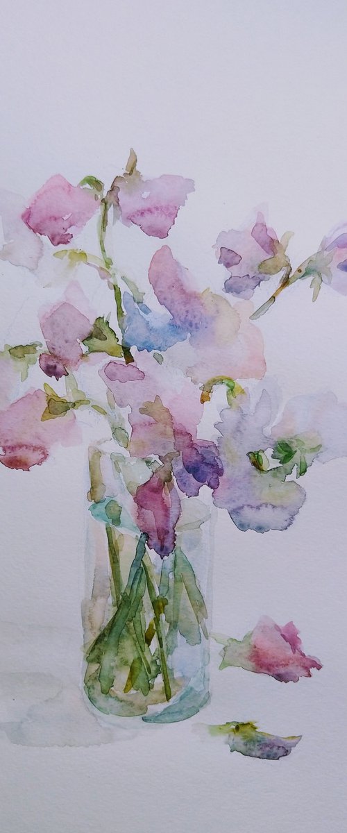 Sweet pea.  Original watercolour painting 2021 by Elena Klyan