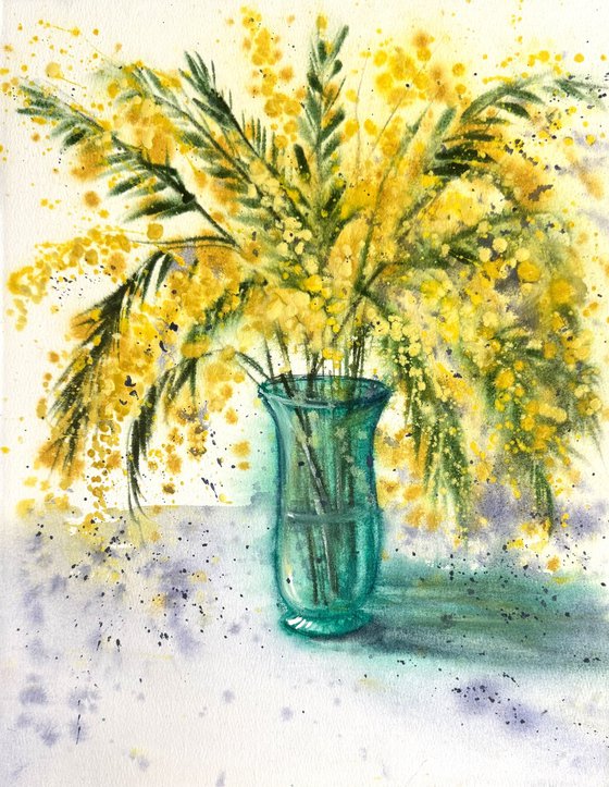 Mimosa branch Acacia Dealbata