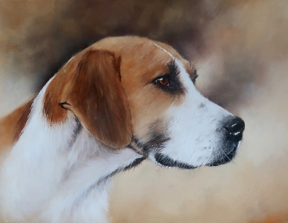 Hound1
