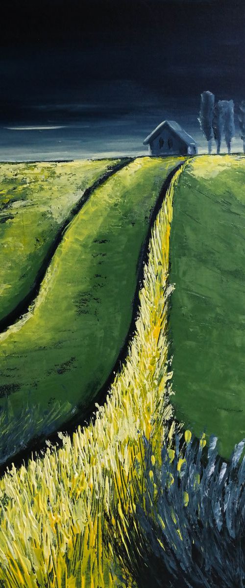 The Path and the storm - Fields and Colors Series by Danijela Dan