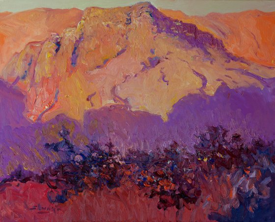 Desert. Last Rays of the Sun