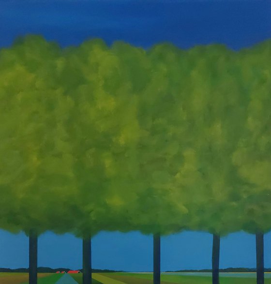Trees in the polder