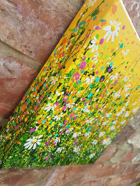Morning Daisy Delight #4