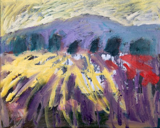 Lavender Meadows