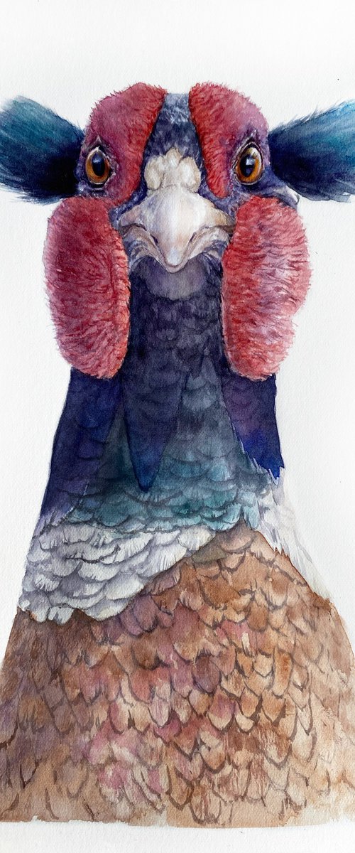 Pheasant with funny blue bangs by Tetiana Savchenko